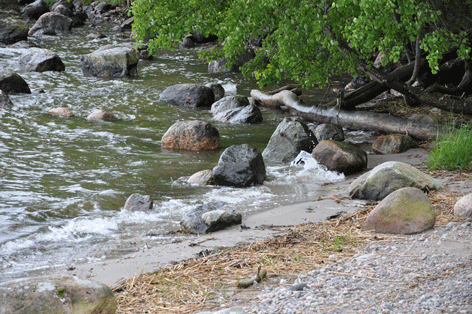 2009_0612_beach